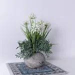 Ninfa Alburnea 4* Άντζιο