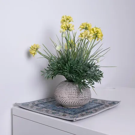 Bed and Breakfast Ninfa Alburnea Άντζιο