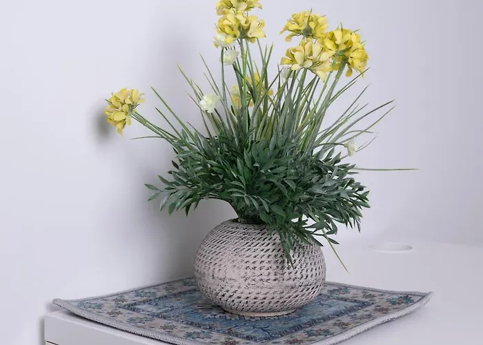 Bed and Breakfast Ninfa Alburnea Άντζιο